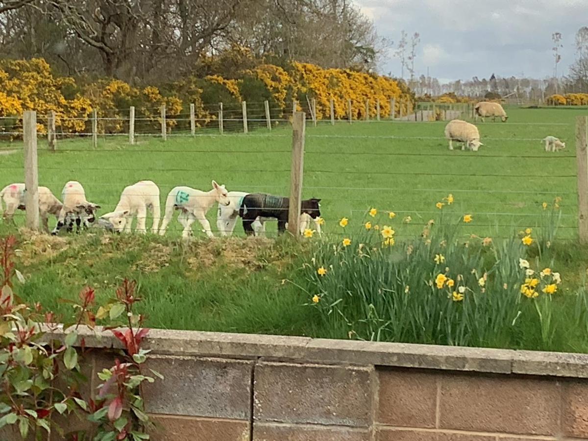 Bonny Vista Daire Inverness Dış mekan fotoğraf